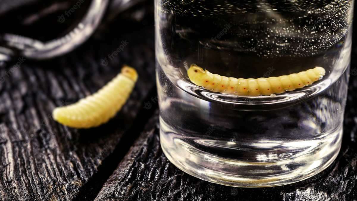 ¿Qué pasa si te comes el gusano del mezcal?