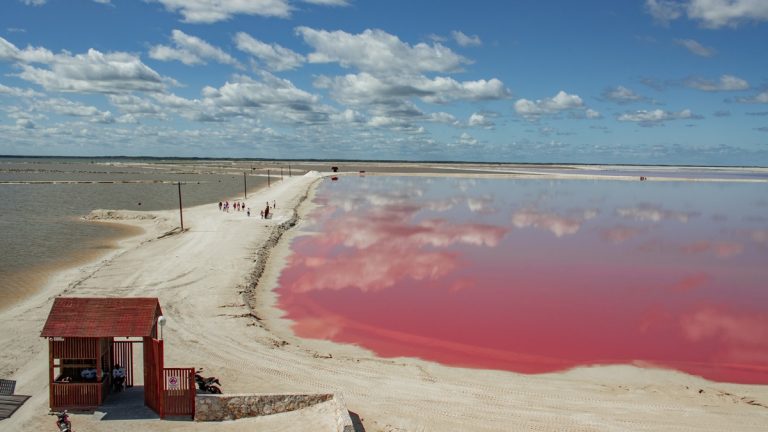 Descubre Las Coloradas Parque Turístico, el increíble lugar de las lagunas rosadas